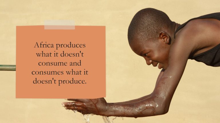 Africa produces what it doesn’t consume and consumes what it doesn’t produce.